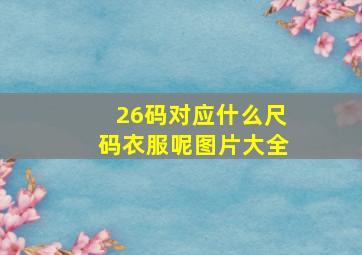 26码对应什么尺码衣服呢图片大全