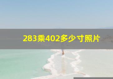 283乘402多少寸照片