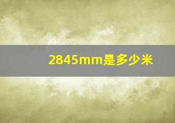 2845mm是多少米