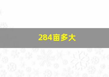 284亩多大