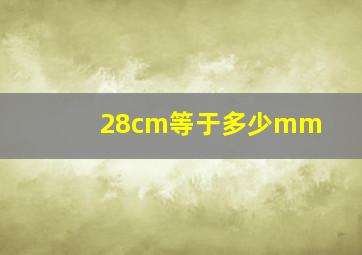 28cm等于多少mm