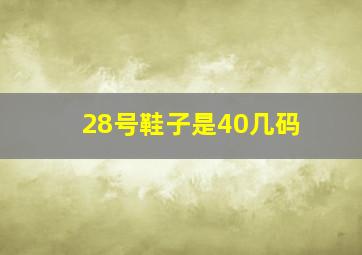 28号鞋子是40几码