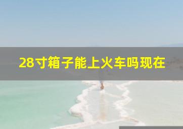 28寸箱子能上火车吗现在