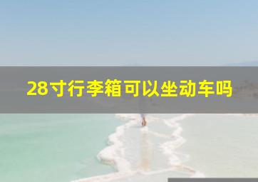 28寸行李箱可以坐动车吗