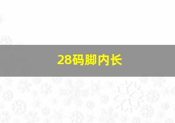 28码脚内长