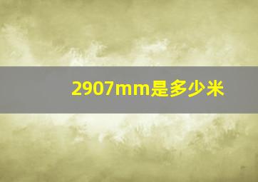 2907mm是多少米