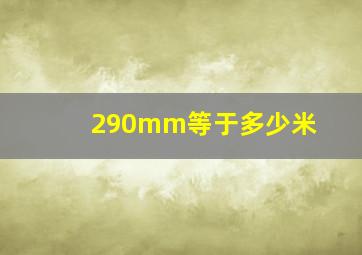 290mm等于多少米