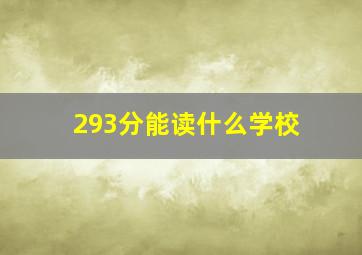 293分能读什么学校