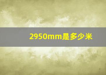 2950mm是多少米