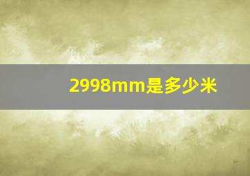 2998mm是多少米