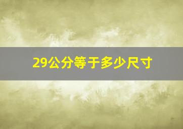 29公分等于多少尺寸