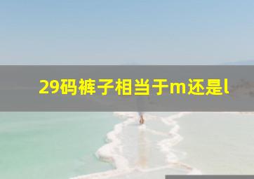 29码裤子相当于m还是l