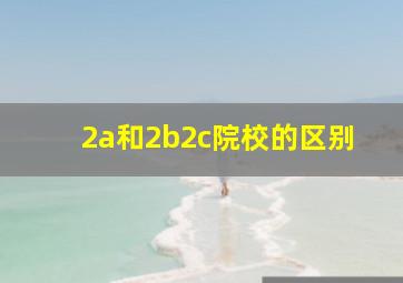 2a和2b2c院校的区别