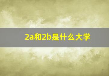 2a和2b是什么大学