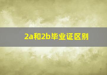 2a和2b毕业证区别