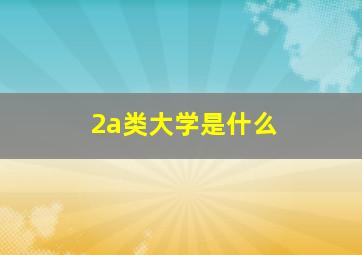 2a类大学是什么