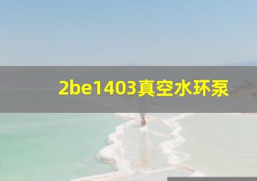 2be1403真空水环泵