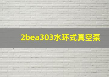 2bea303水环式真空泵