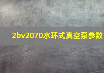 2bv2070水环式真空泵参数