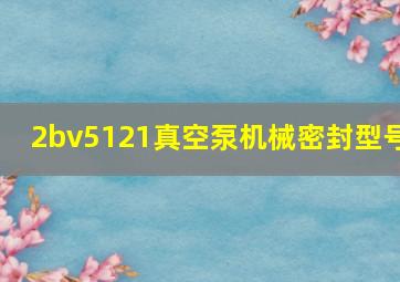 2bv5121真空泵机械密封型号