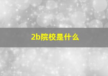 2b院校是什么