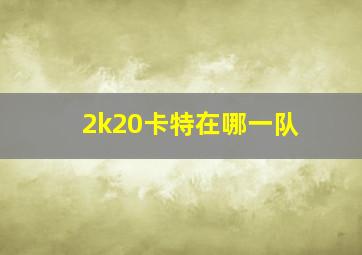 2k20卡特在哪一队