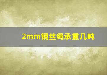 2mm钢丝绳承重几吨