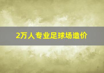 2万人专业足球场造价