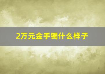 2万元金手镯什么样子