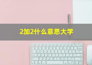 2加2什么意思大学