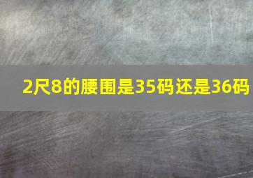 2尺8的腰围是35码还是36码