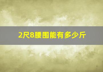 2尺8腰围能有多少斤