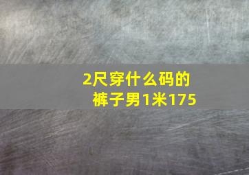 2尺穿什么码的裤子男1米175