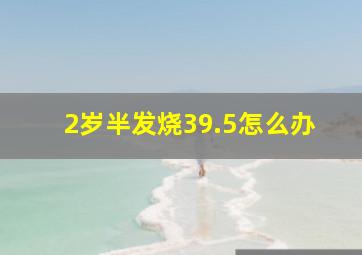 2岁半发烧39.5怎么办