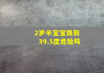 2岁半宝宝烧到39.5度危险吗