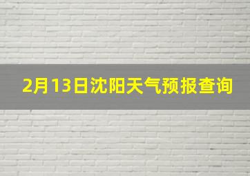 2月13日沈阳天气预报查询