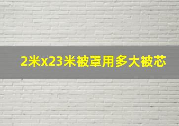 2米x23米被罩用多大被芯