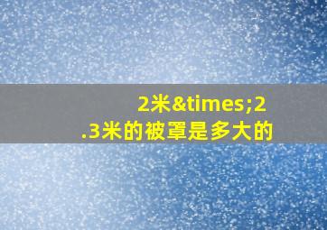 2米×2.3米的被罩是多大的