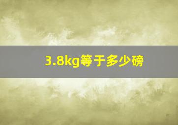 3.8kg等于多少磅