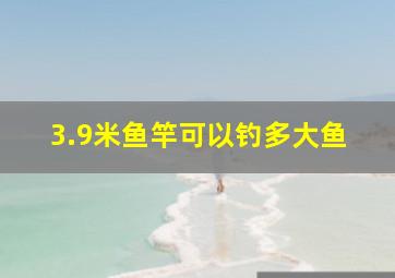 3.9米鱼竿可以钓多大鱼