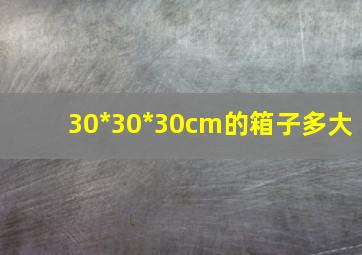 30*30*30cm的箱子多大