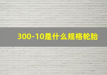 300-10是什么规格轮胎