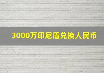 3000万印尼盾兑换人民币