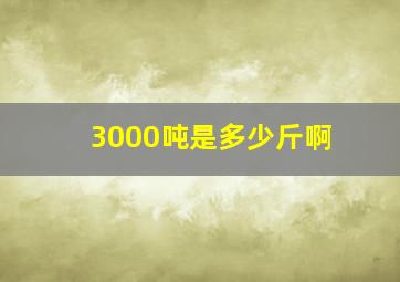 3000吨是多少斤啊