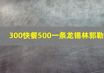 300快餐500一条龙锡林郭勒