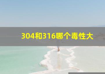 304和316哪个毒性大