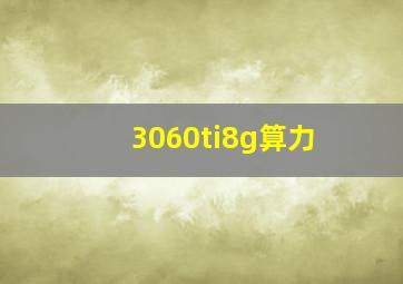 3060ti8g算力