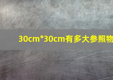 30cm*30cm有多大参照物