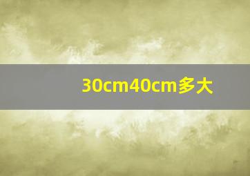 30cm40cm多大