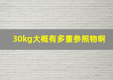 30kg大概有多重参照物啊